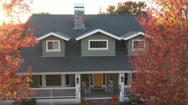 Best Chimney Flashing Repair  in Belen, NM