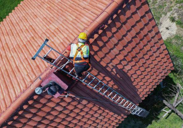 Best Sheet Metal Roofing  in Belen, NM